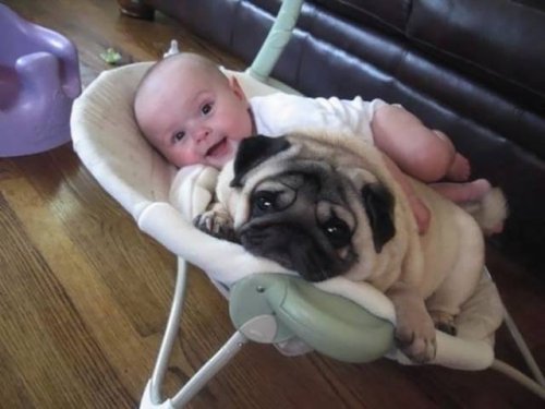 Дети и собаки — лучшие друзья навеки! (25 фото)