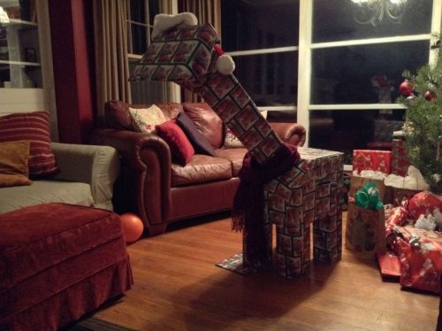 Интернет-пользователи показывают, как маскируют рождественские подарки (8 фото)
