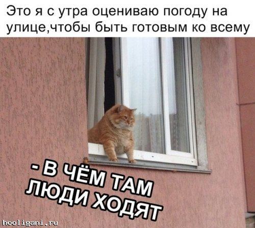 <br />
				Классные картинки и фото-приколы (38 шт)<br />
							