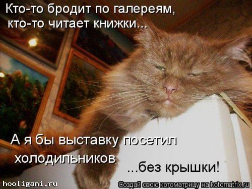 <br />
				Новая котоматрица на hooligani.ru (39 фото)<br />
							