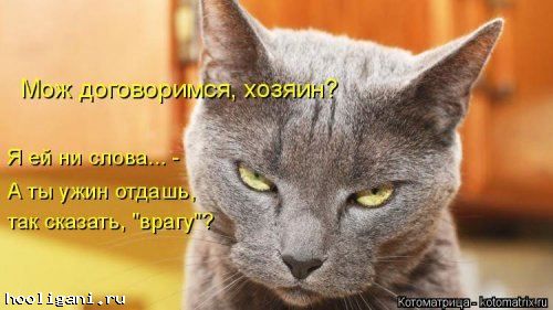 <br />
				Новая котоматрица на hooligani.ru (39 фото)<br />
							