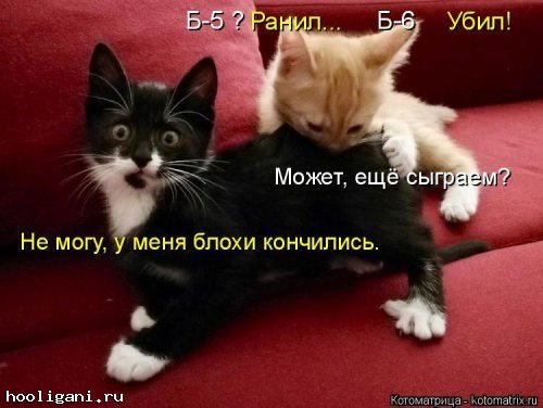 <br />
				Новая котоматрица на hooligani.ru (39 фото)<br />
							