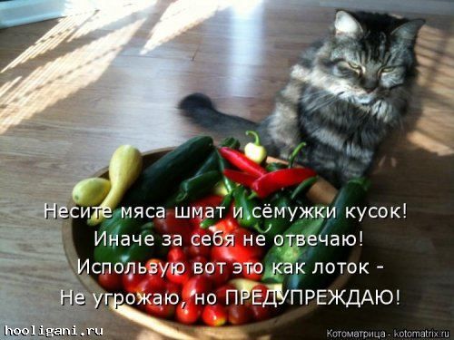 <br />
				Новая котоматрица на hooligani.ru (39 фото)<br />
							