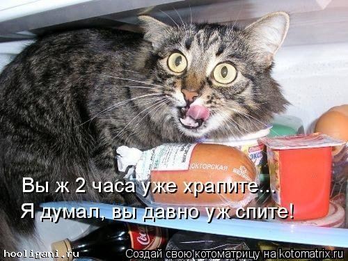 <br />
				Новая котоматрица на hooligani.ru (39 фото)<br />
							