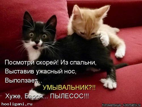 <br />
				Новая котоматрица на hooligani.ru (39 фото)<br />
							