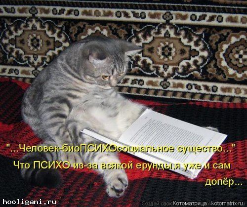 <br />
				Новая котоматрица на hooligani.ru (39 фото)<br />
							