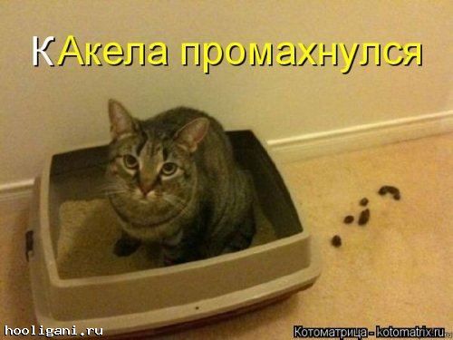 <br />
				Котоматрица недели (44 фото)<br />
							