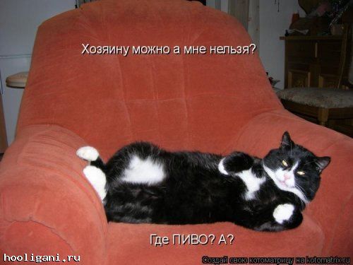 <br />
				Котоматрица недели (44 фото)<br />
							