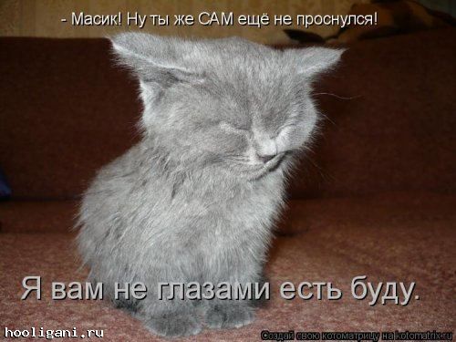 <br />
				Новая котоматрица на hooligani.ru (39 фото)<br />
							