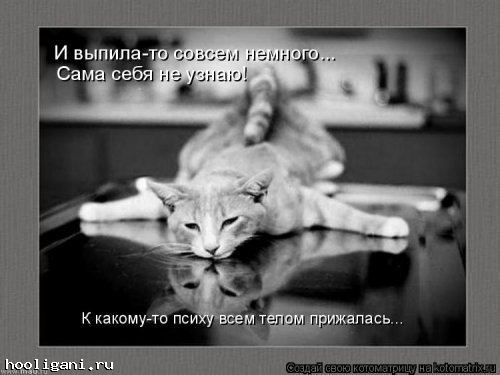 <br />
				Котоматрица недели (44 фото)<br />
							