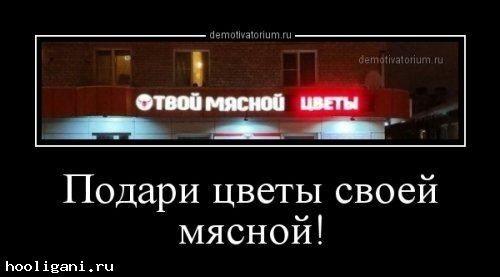 <br />
				Свежие демотиваторы (14 шт)<br />
							