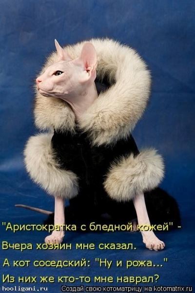 <br />
				Новая котоматрица на hooligani.ru (39 фото)<br />
							