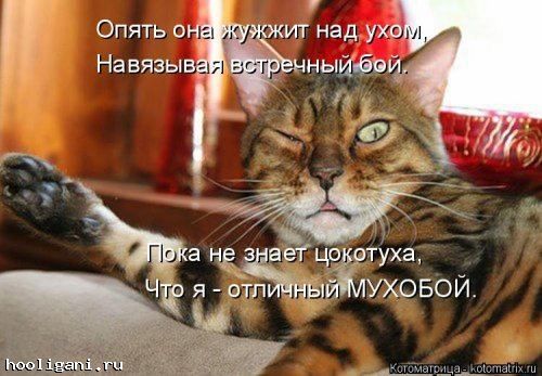 <br />
				Котоматрица недели (44 фото)<br />
							