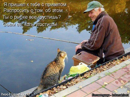 <br />
				Новая котоматрица на hooligani.ru (39 фото)<br />
							