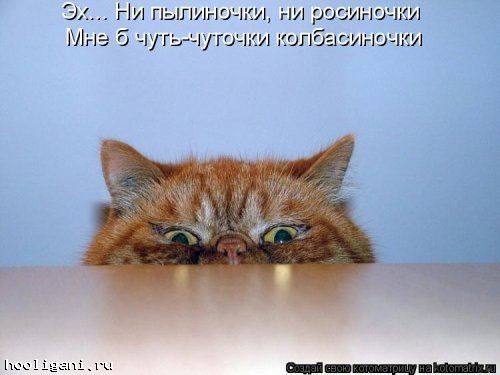 <br />
				Новая котоматрица на hooligani.ru (39 фото)<br />
							