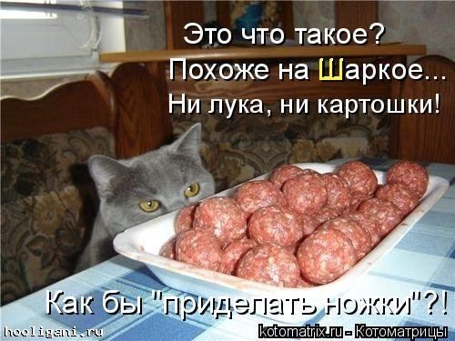 <br />
				Котоматрица недели (44 фото)<br />
							