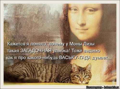 Котоматрица недели (44 фото)