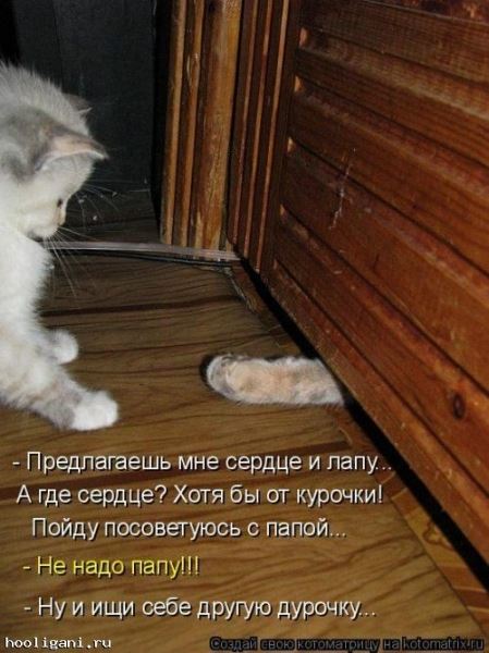 <br />
				Котоматрица недели (44 фото)<br />
							