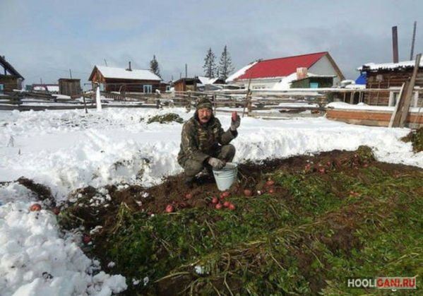 <br />
				Тем временем в России<br />
							