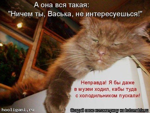 <br />
				Новая котоматрица на hooligani.ru (39 фото)<br />
							