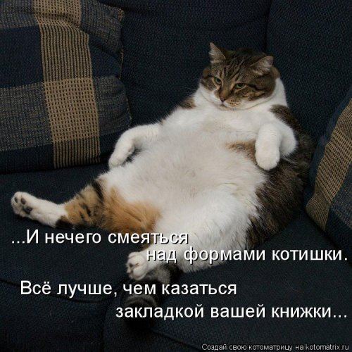 Котоматрица недели (44 фото)