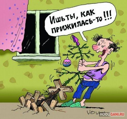 <br />
				Смешные новогодние карикатуры<br />
							