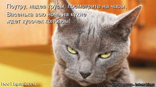 <br />
				Новая котоматрица на hooligani.ru (39 фото)<br />
							