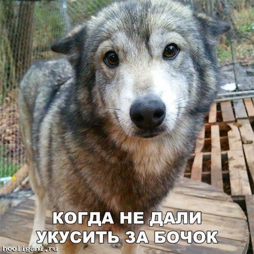 <br />
				Свежие фото-приколы и картинки с надписями (35 шт)<br />
							