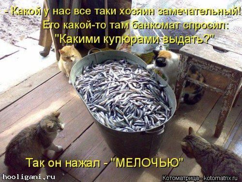 <br />
				Новая котоматрица на hooligani.ru (39 фото)<br />
							