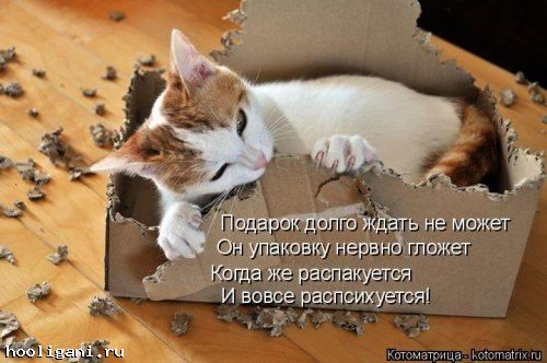 <br />
				Котоматрица недели (44 фото)<br />
							