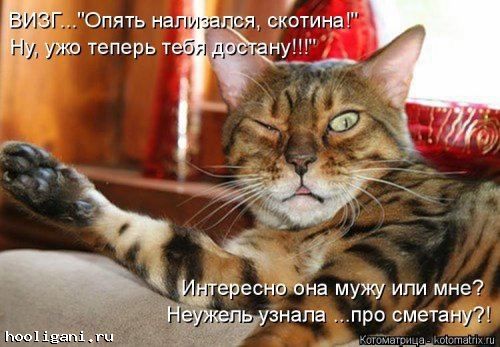 <br />
				Новая котоматрица на hooligani.ru (39 фото)<br />
							