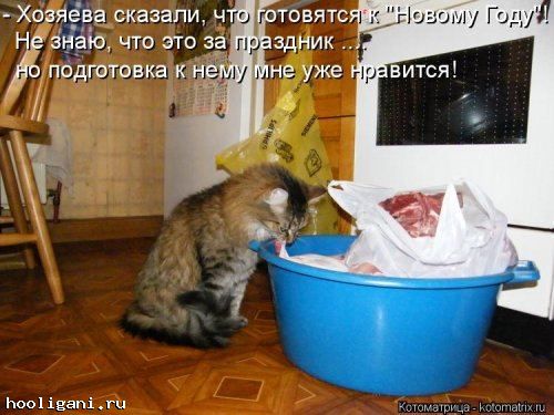 <br />
				Котоматрица недели (44 фото)<br />
							