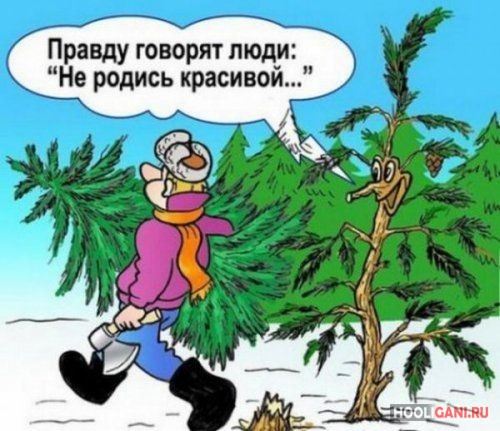 <br />
				Смешные новогодние карикатуры<br />
							