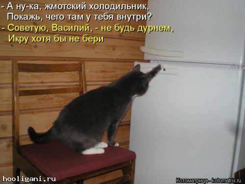 <br />
				Новая котоматрица на hooligani.ru (39 фото)<br />
							