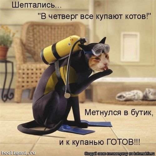 <br />
				Котоматрица недели (44 фото)<br />
							