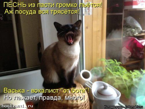 <br />
				Котоматрица недели (44 фото)<br />
							