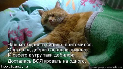 <br />
				Котоматрица недели (44 фото)<br />
							