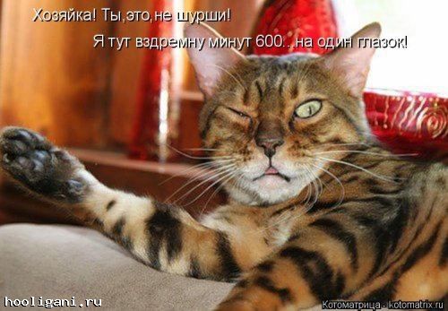 <br />
				Котоматрица недели (44 фото)<br />
							