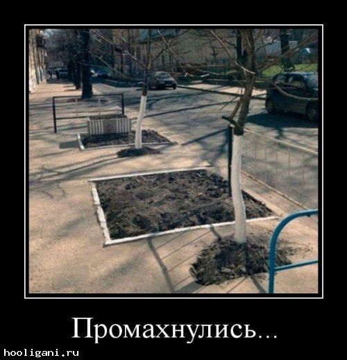 <br />
				Демотиваторы дня (11 шт)<br />
							