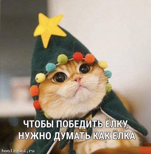 <br />
				Подборка прикольных картинок, смех! (31 шт)<br />
							