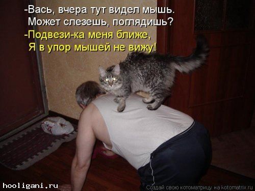 <br />
				Котоматрица недели (44 фото)<br />
							