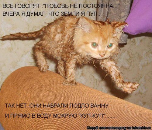 Котоматрица недели (44 фото)