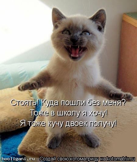 <br />
				Новая котоматрица на hooligani.ru (39 фото)<br />
							