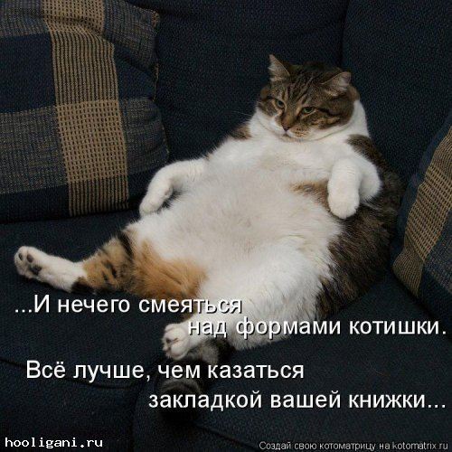 <br />
				Котоматрица недели (44 фото)<br />
							