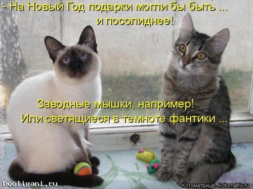 <br />
				Новая котоматрица на hooligani.ru (39 фото)<br />
							